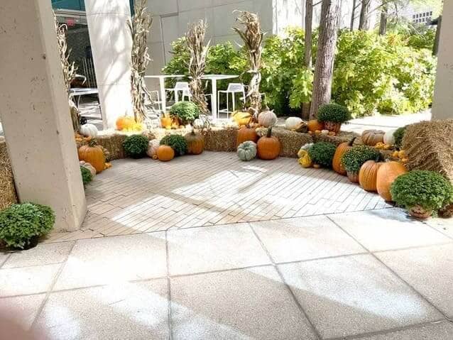 Halloween decorations with orange and white pumpkins