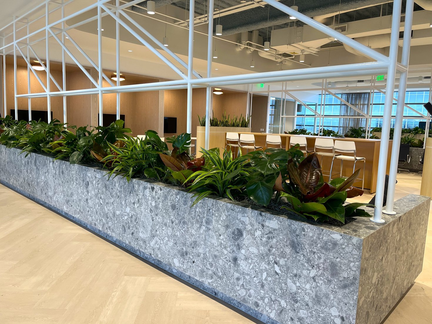 Top 10 Biophilic Design Ideas for Offices in 2025 | Natura