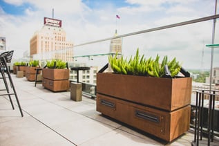 benefits of hotel lobby plants clean air 