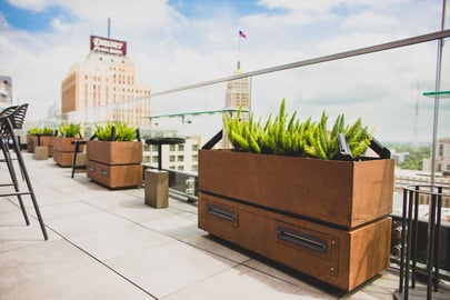 AC-Hotel-Exterior-Plants