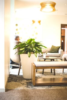 Biophilic design in a hotel