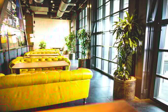 Hospitality biophilic design 