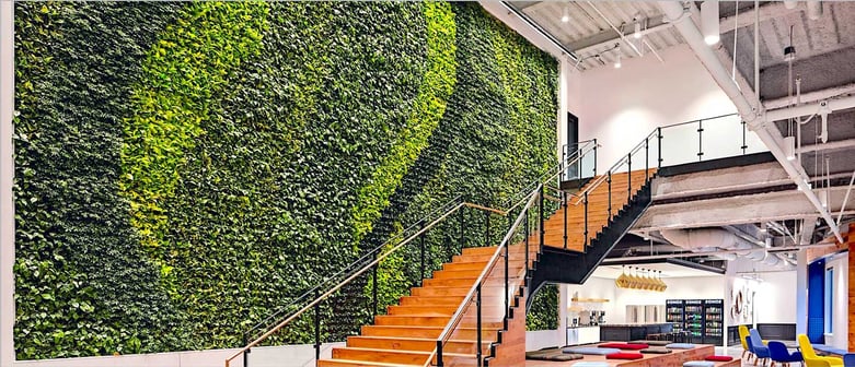 Living wall desings