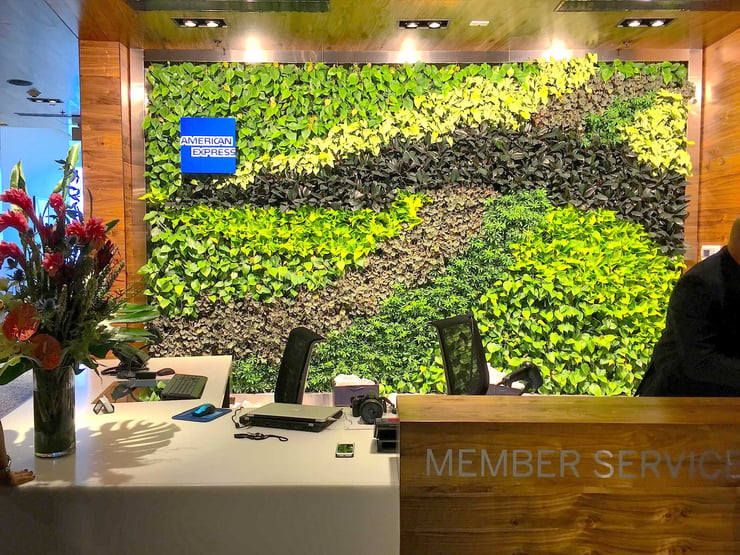 Green wall systems