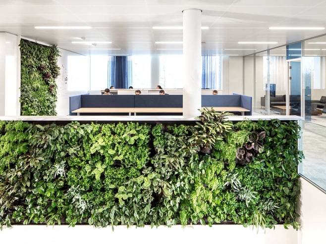 Office living walls