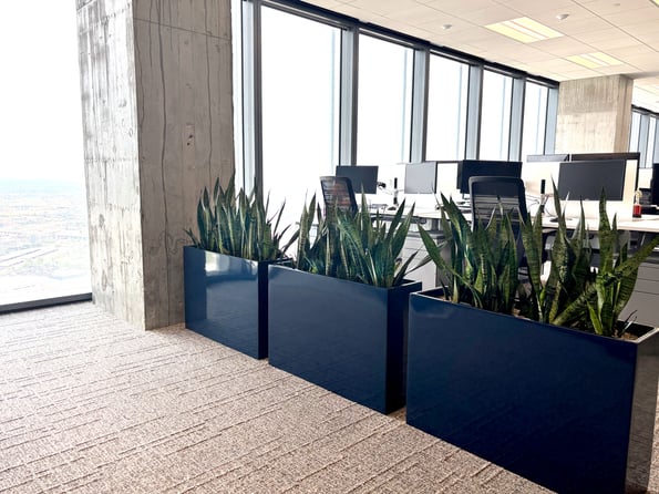 Do indoor plants reduce employee stress? A corporate-focused perspective