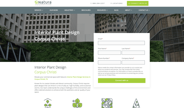 Interior Plant Design Corpus Christi-min