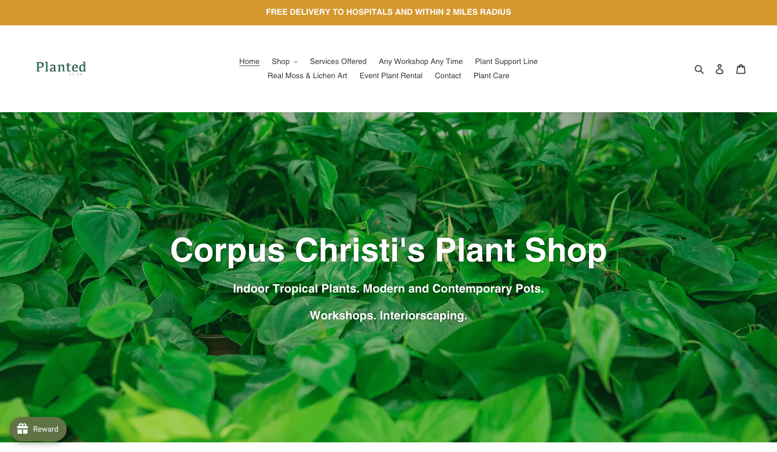 Planted Corpus Christi-min