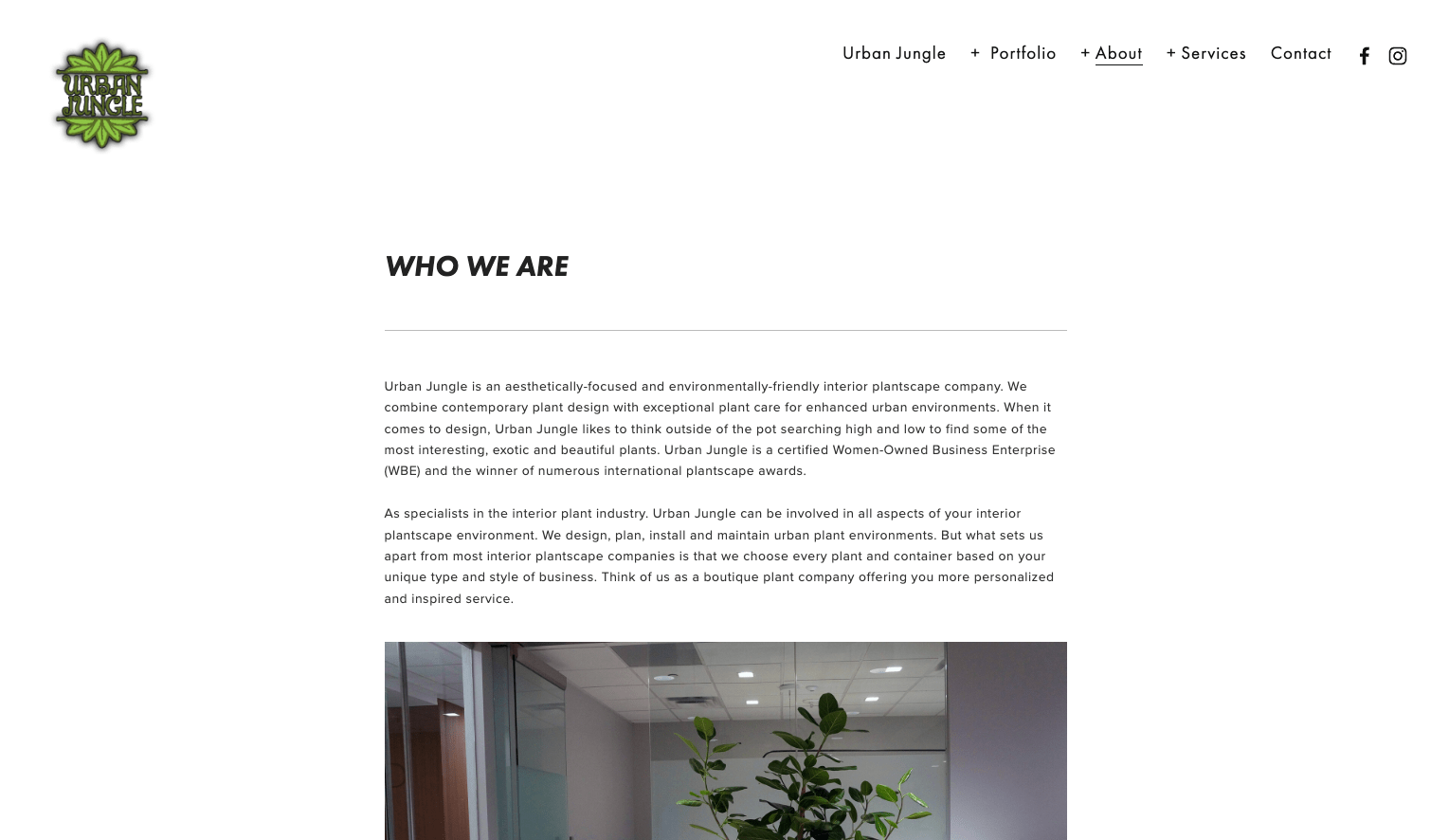 Top Interior Plant Design Companies Dallas-Fort Worth [2025]