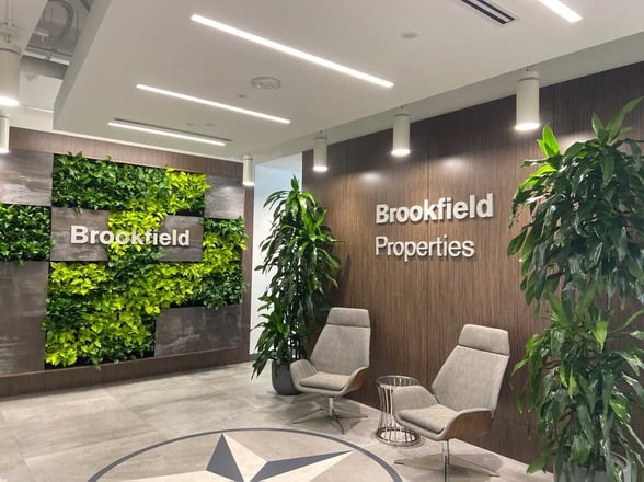 Top indoor plants for office space in Houston