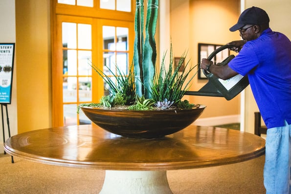 How Often Should Office Plants Be Serviced