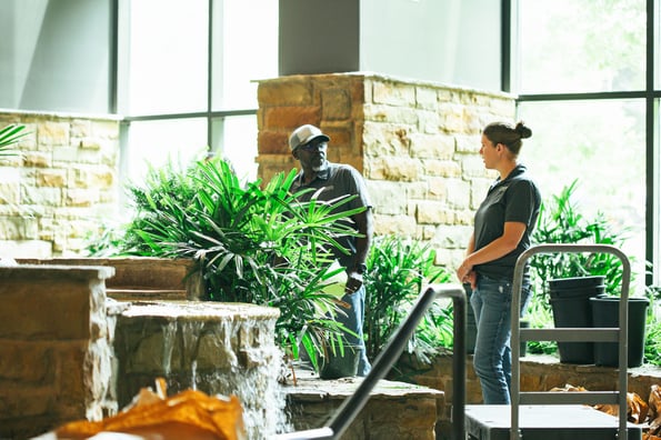 Price of corporate interior plant services in 2026