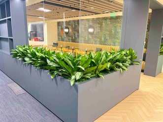 Indoor Plants in a wall of an office