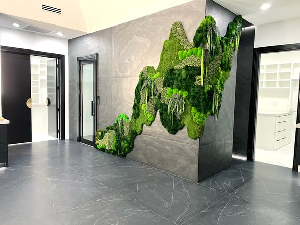 Living walls for offices in dallas