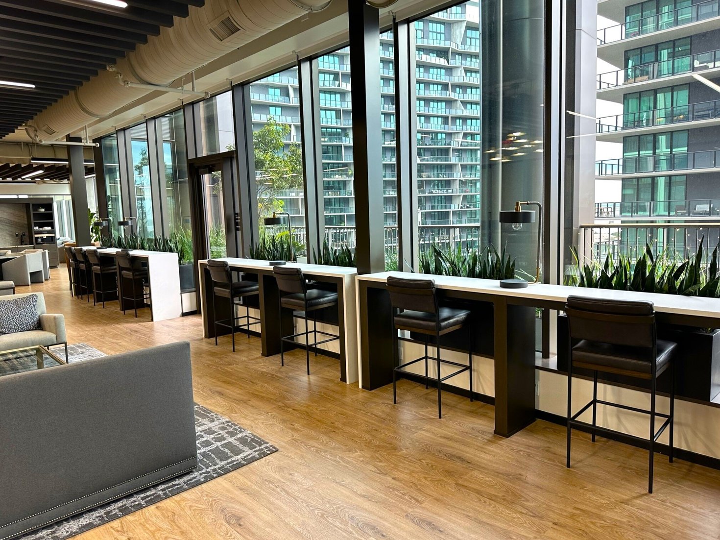 The Rise of Biophilic Workspaces in Texas & Florida | Natura