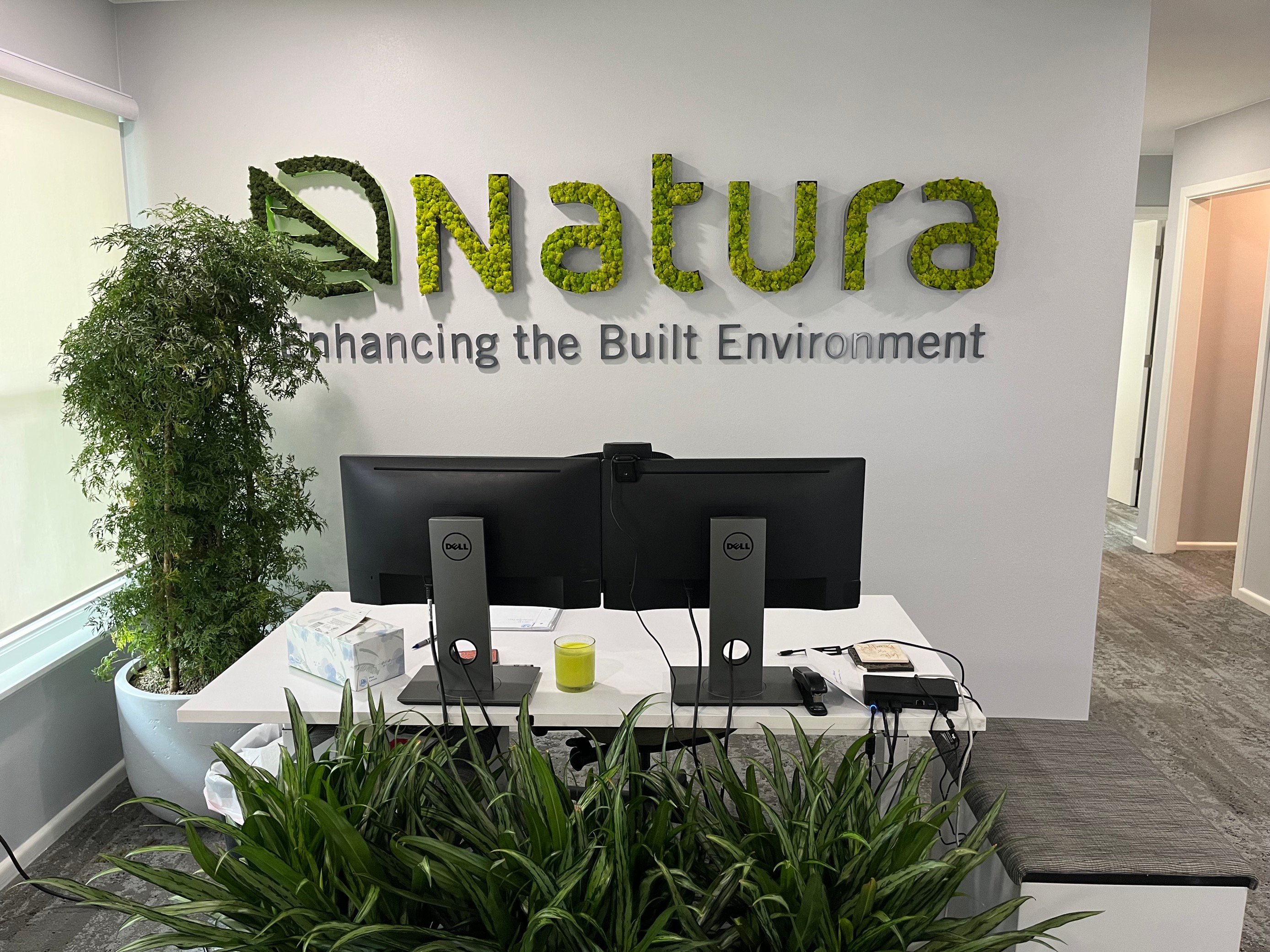 Office plants at natura head office workplace