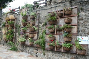 vertical garden designs