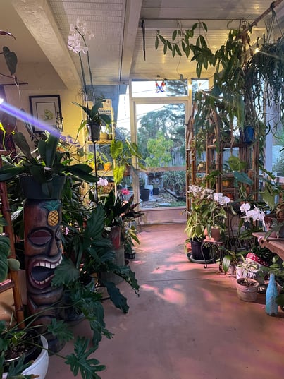 professional plant care for your business