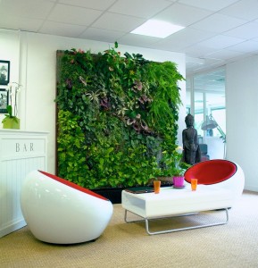 living wall systems
