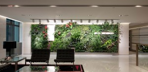 benefits of plants in the office