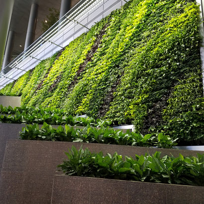 Looking-up-at-The-Towers-green-wall