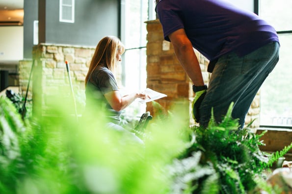 Most Common Plant Problems in Corporate Offices