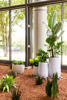 Close up of plants in a multi-tenant office building's atrium