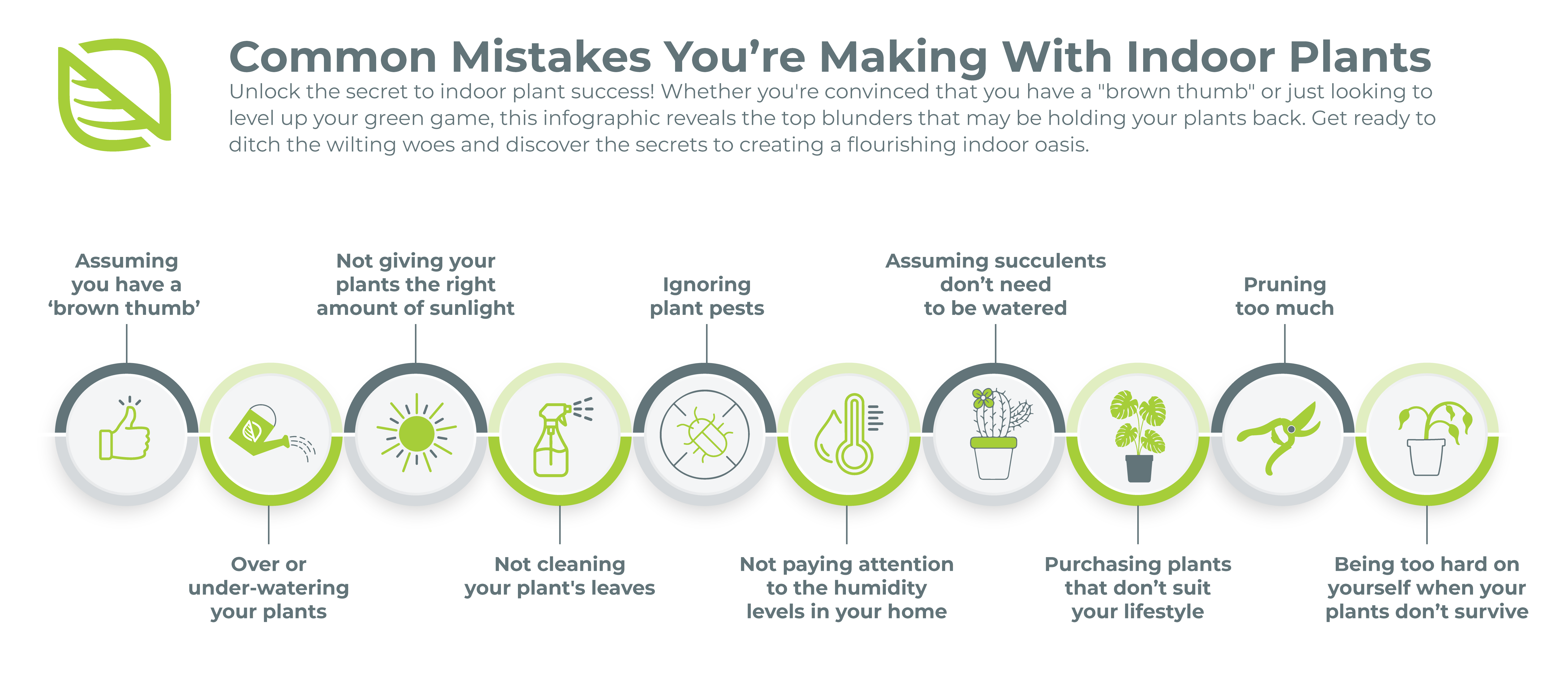 The Common Mistakes You’re Making With Indoor Plants