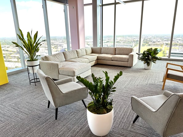 Natura Office Plants 04-1