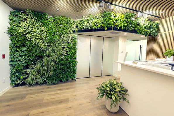Which Green Wall Systems Work Best for Commercial Buildings?
