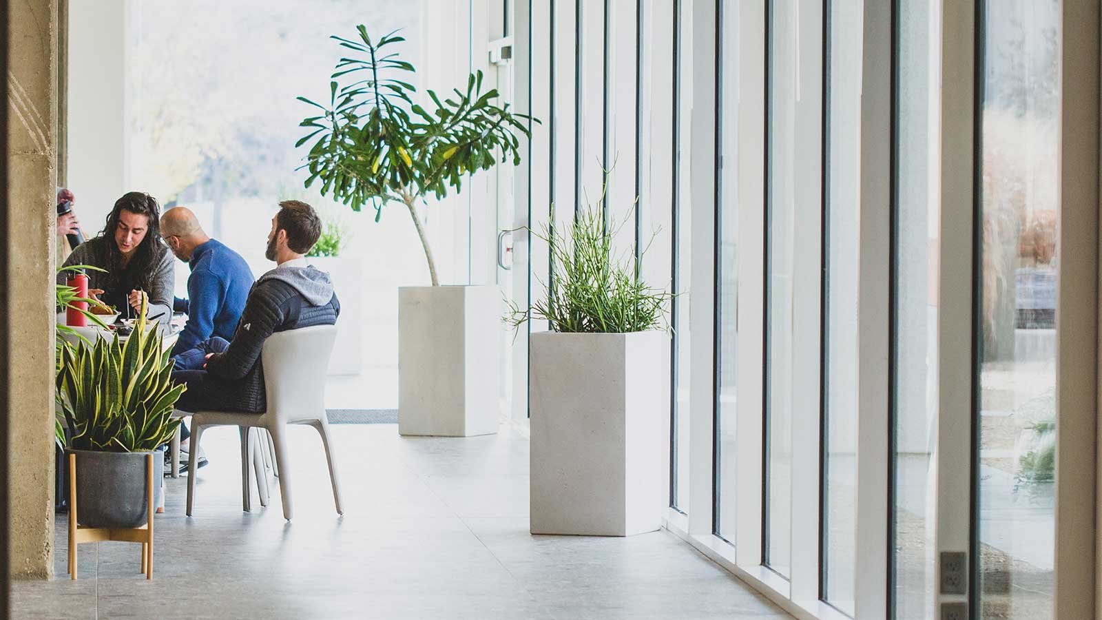 Collaborative communal office spaces enhanced with plants
