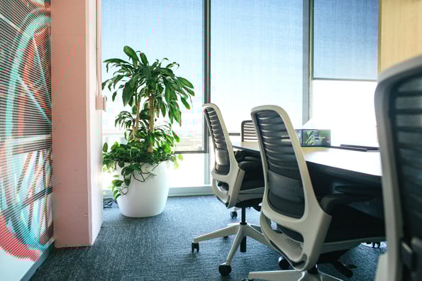 Rent vs purchase indoor plants for commercial use