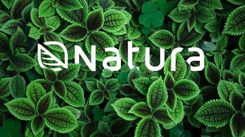 Natura logo surrounded by leaves 