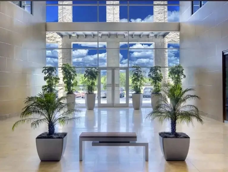 eight trees at the entrance of an office