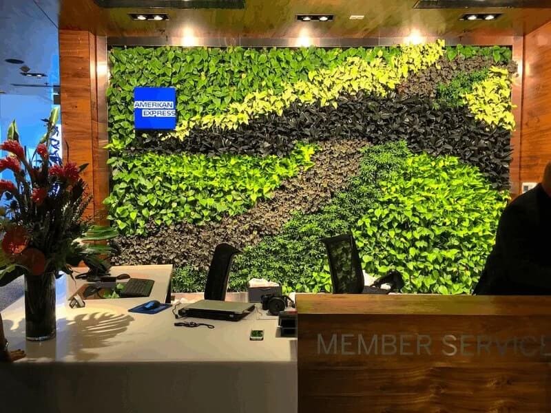 Miami Centurion Lounge Entrance with living wall 