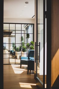 plants in an office