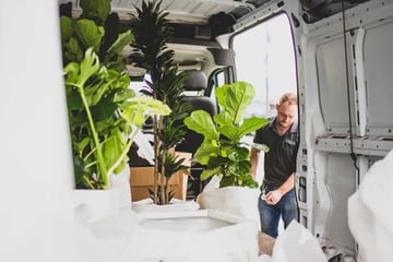 man by natura truck with indoor office plants