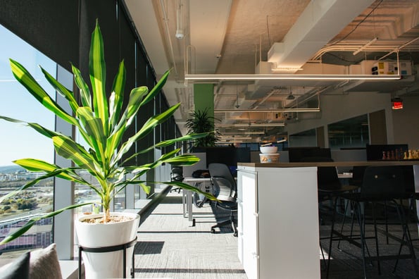 Biophilic Design on a Budget: Affordable Ways to Bring Nature into Your Workspace