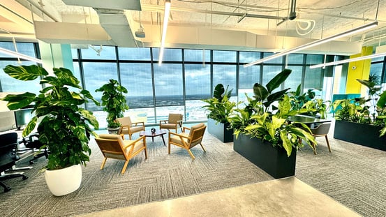 Interior landscaping in Wise US Office