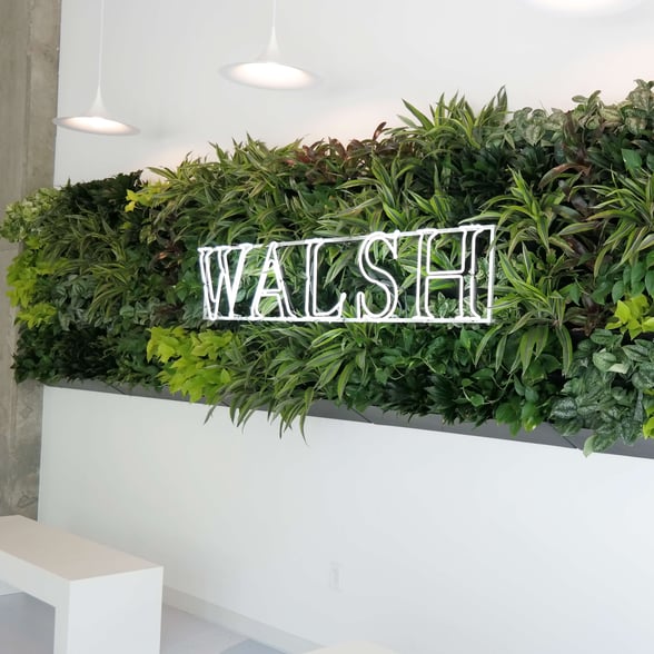 Benefits of Live Green Walls in Urban Areas