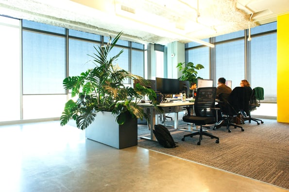 What to include in your corporate plant service contract in 2026