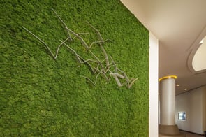 blog-biophilic-design-checklist-feature