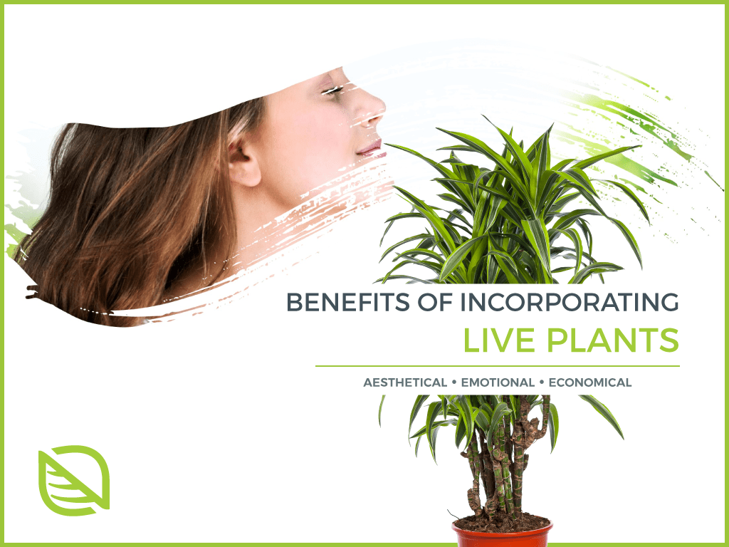 economic-benefits-LIVE-plants