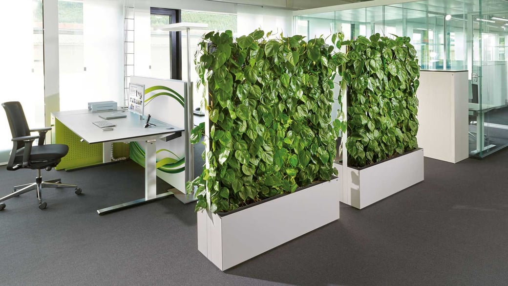 Image showcasing Transforming Small Spaces with Green Living Walls | Natura®