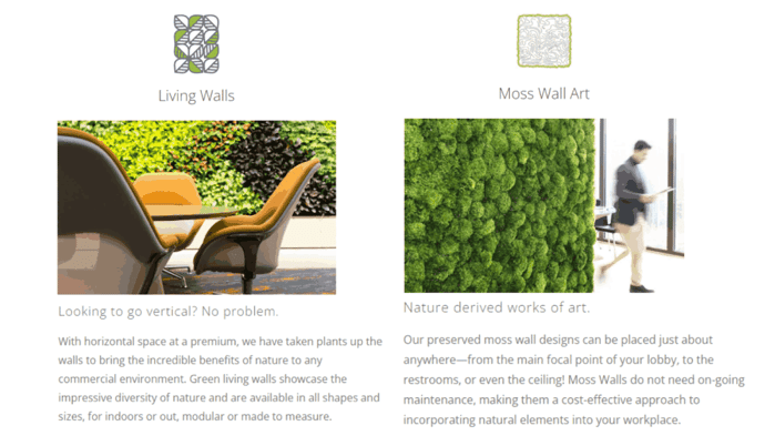 living walls vs moss walls difference