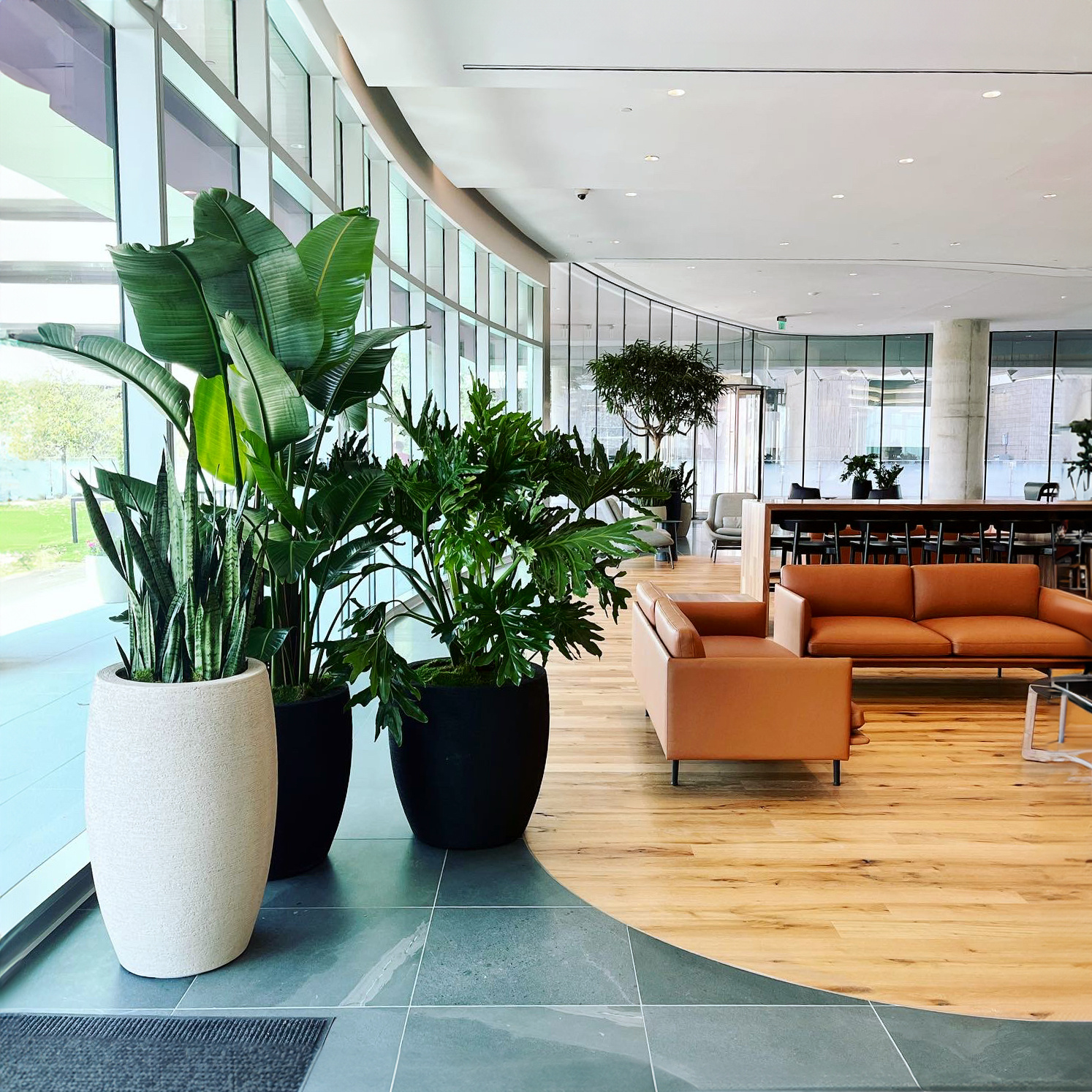  plants for commercial space