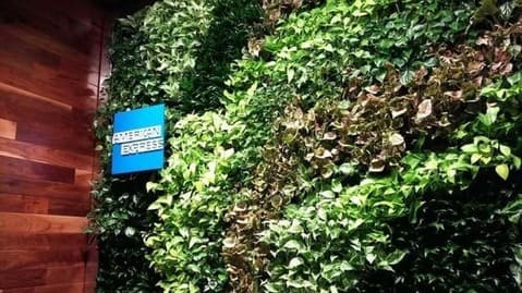 American express sign with vertical plants 