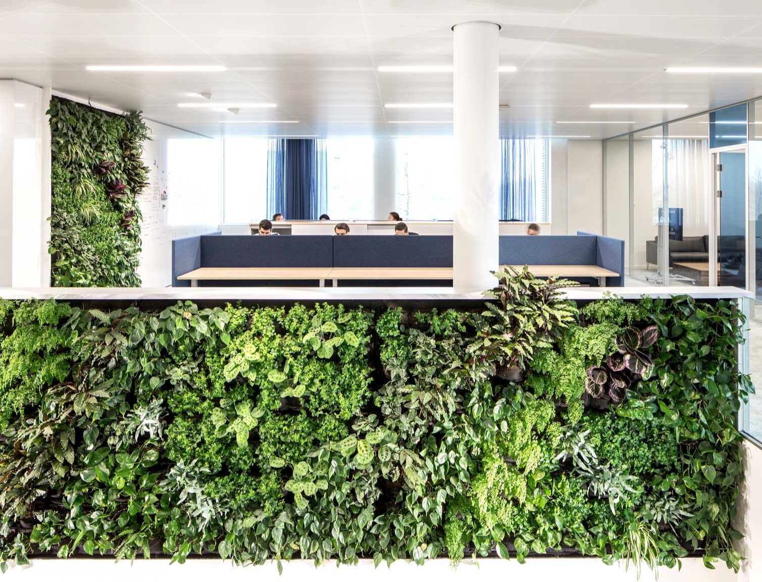 Boost Your Corporate Rental Rates with Biophilic Design