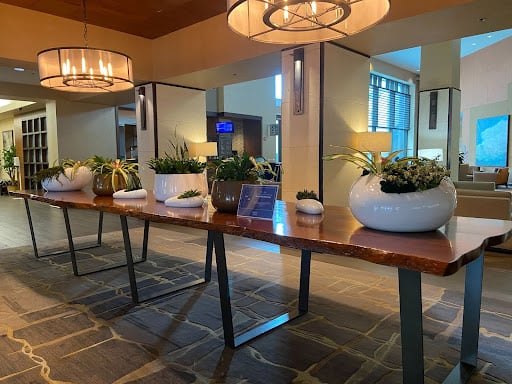 Plant Containers at the DoubleTree Hilton Hotel Reception 