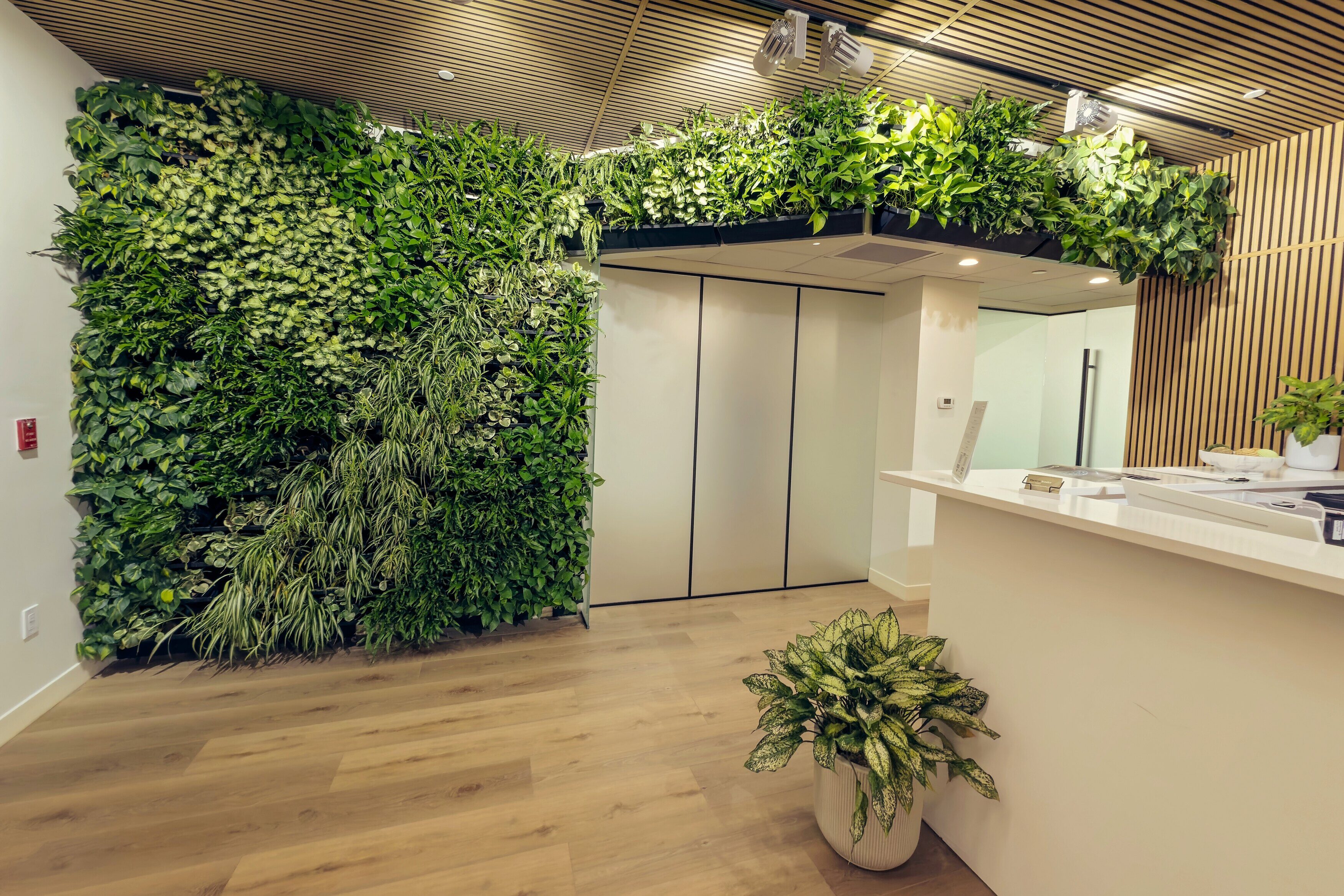 Plants in Medical Facilities